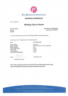 insurance_page1
