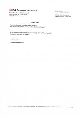 insurance_page5