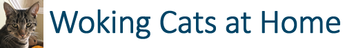 Woking Cats at Home